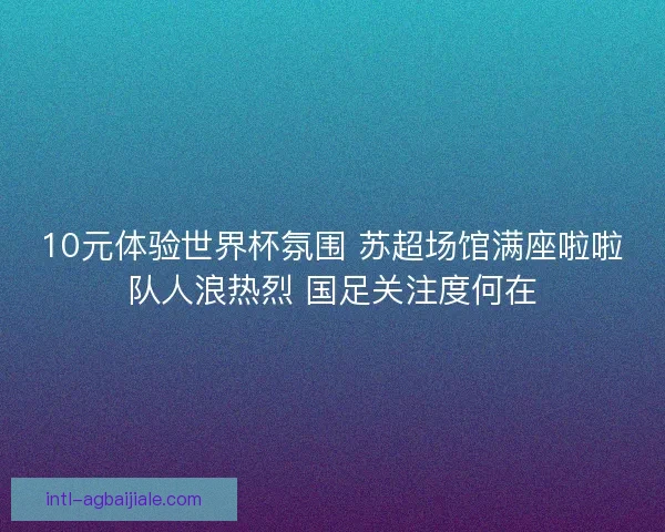 10元体验世界杯氛围 苏超场馆满座啦啦队人浪热烈 国足关注度何在