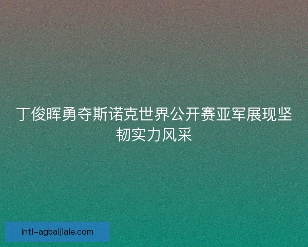 丁俊晖勇夺斯诺克世界公开赛亚军展现坚韧实力风采